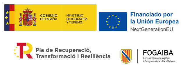 Limsa Govern